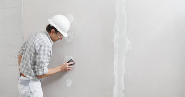 Best Attic Mold Removal  in , KY