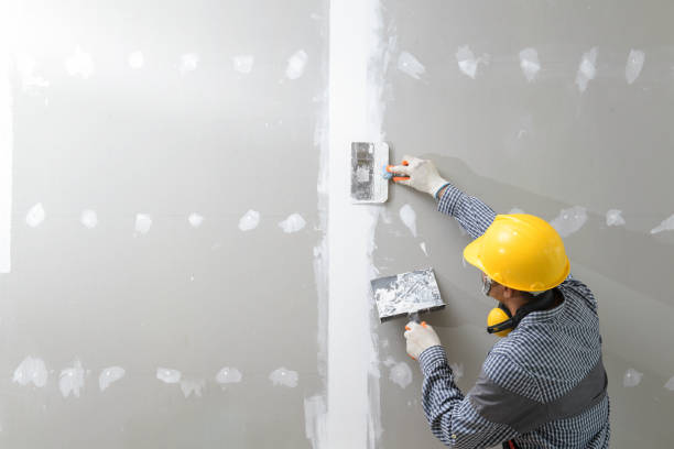 Best Water Damage & Mold Remediation  in , KY