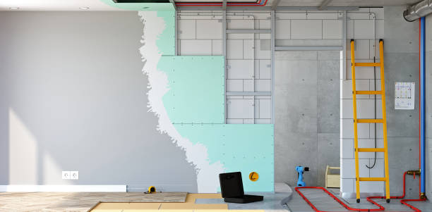 Best Post-Construction Mold Inspection  in , KY