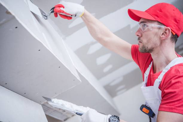 Best Emergency Mold Remediation  in , KY