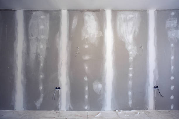 Best Mold Removal for HVAC Installations  in , KY